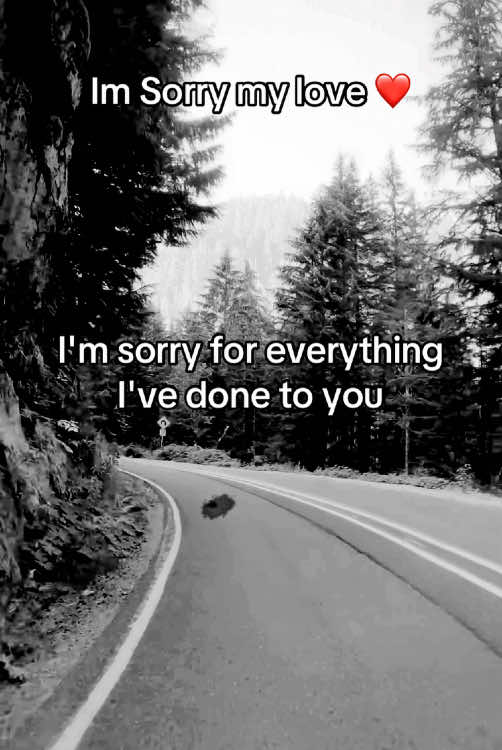 Im sorry my love ❤️ #loveyou #imsorry #couple #couplelove #couplegoals #couplelove #lovequotes 