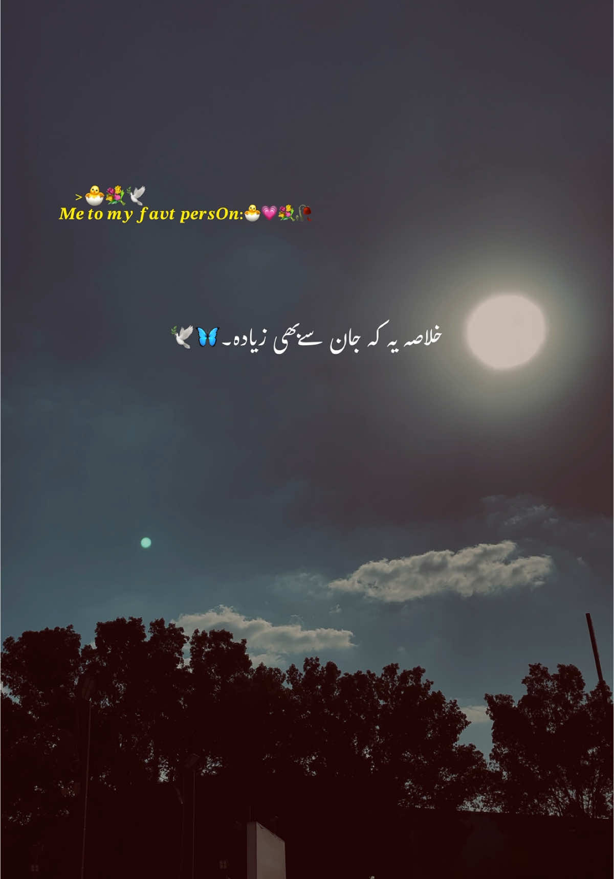 مختصر یہ کہ تم پیاری ہو💗🌸🕊️🦋🔐#hehe #fyp #video #urdupoetry #lines #growmyaccount #aesthetics #viral_video 