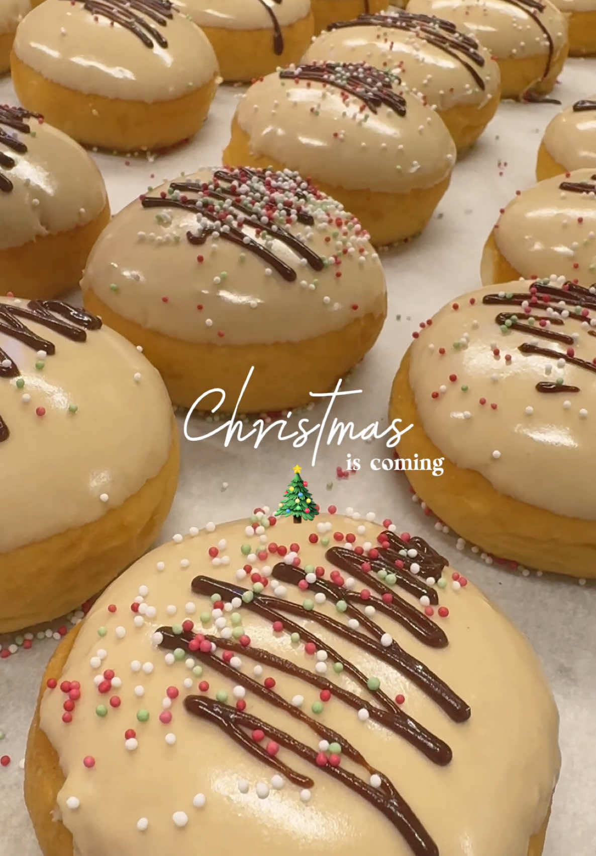 🎄 🍩 Have you tried our Christmas Tiramisu yet? 🍩🎄 🍷 Made with real Marsala wine, whipped cream coffee, and only 193 calories—it’s the perfect way to celebrate the holiday season ✨☕️🍷🎅 #bakers #doughnut #baketok #christmas #christmastok #christmastiktok #christmastree #fyp #fyppp 