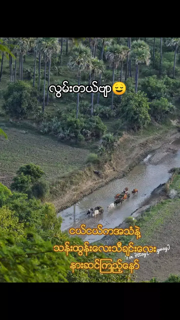 #ျမန္မာသံျမတ္နိုးသူ  #tiktok #myanmar🇲🇲🇲🇲 