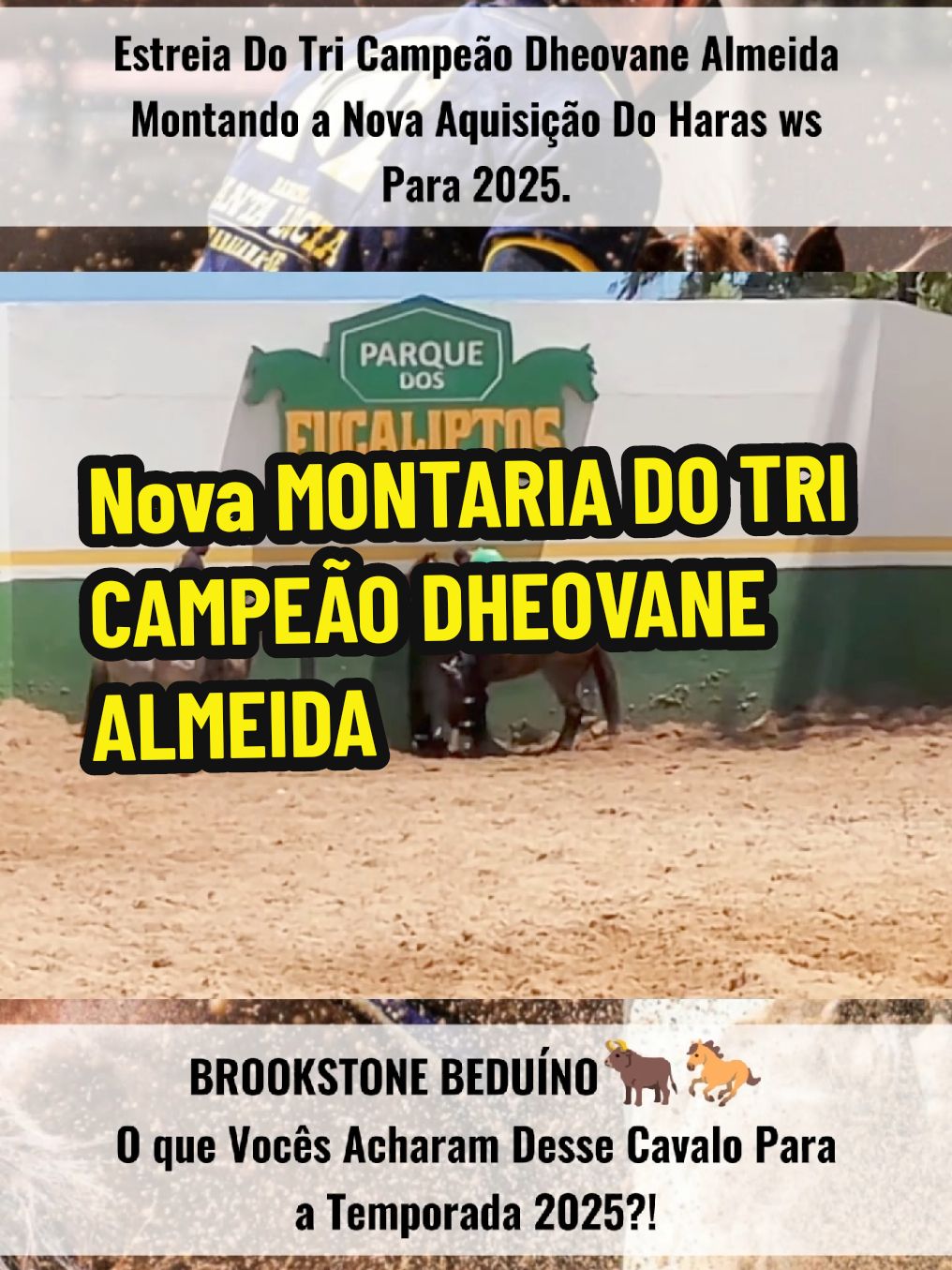 Nova MONTARIA do tri #cavalo #vaquejada #vaqueiro #boi 