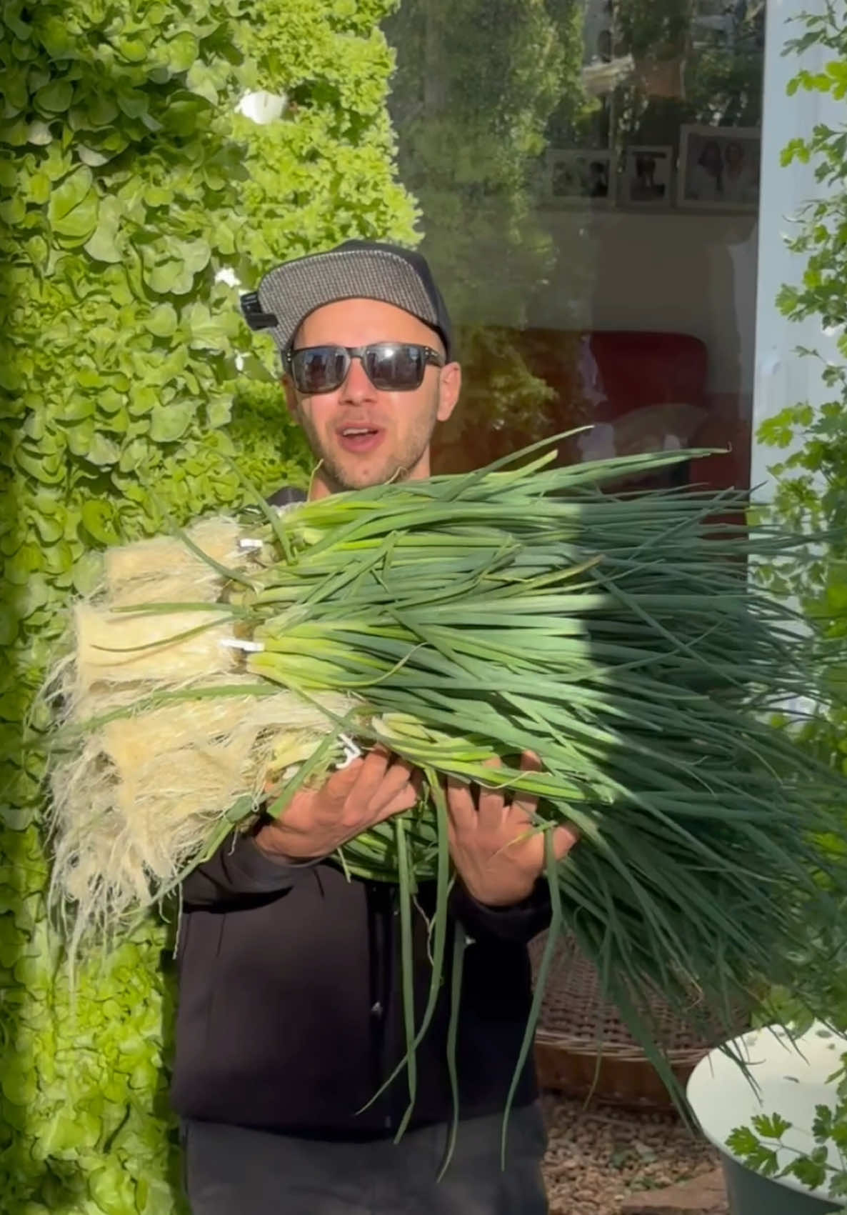 Green onion cultivation through vertical farming on aeroponic towers provides an efficient method to maximize yields. Green onions, also known as scallions or spring onions, thrive in a wide range of climates and are relatively fast-growing. Optimal growth occurs at temperatures between 55 to 75°F (13 to 24°C), but they can tolerate colder temperatures.  #springonion #greenonion #scallions #farming #agriculture #aeroponics #gardening #hydroponics