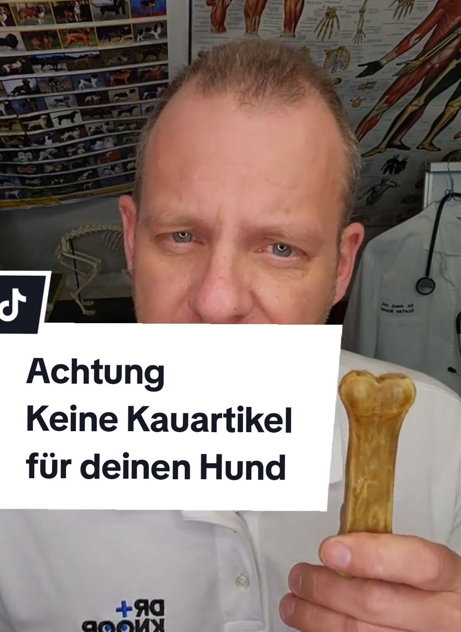 Achtung keine Kauartikel, besonders nicht mit Rinderhaut, auf dem Weihnachtsteller deines Hundes. was gibt derzeit einige Vergiftungsfälle in Deutschland. #dog #lernenmittiktok #hund #dogsoftiktok #drknoop #tierarzt #cat #hundeliebe 