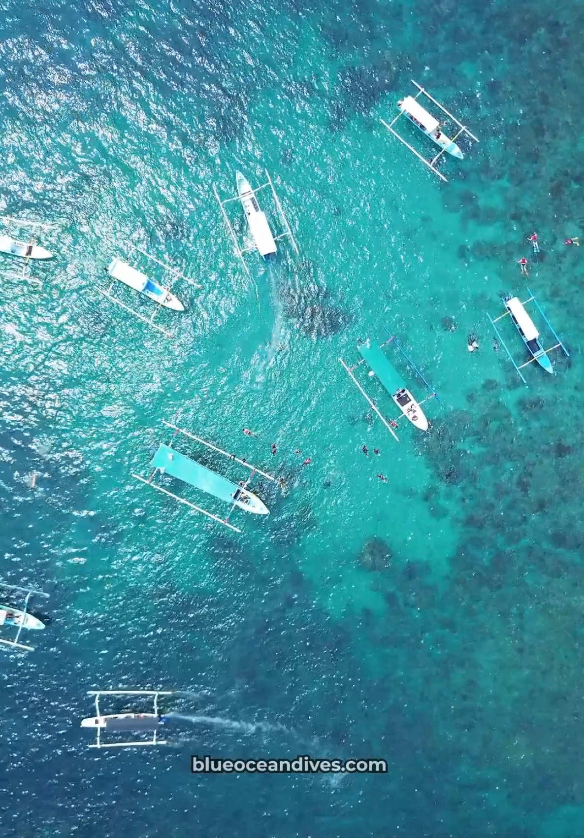 Akhir tahun snorkeling bareng doi dong😍🌊 📍Bluelagoon, Padangbai #snorkelingtrip #snorkelingbali #snorkelingbluelagoon #bali #karangasembali🌴 #blueoceandive #fyp 