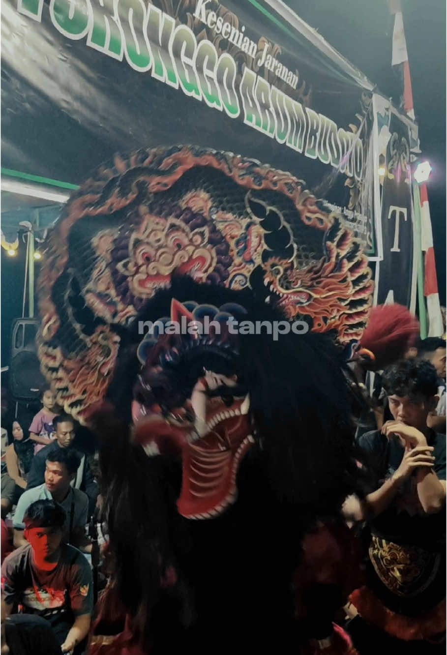 Lali opo pancen lali #jaranan #jaranantiktok #jarananjawa #jaranankediri #jarananpekanbaruriau👹 #barongan #pasukanmekarbudoyo #nogomulyosejati #deuyungg 