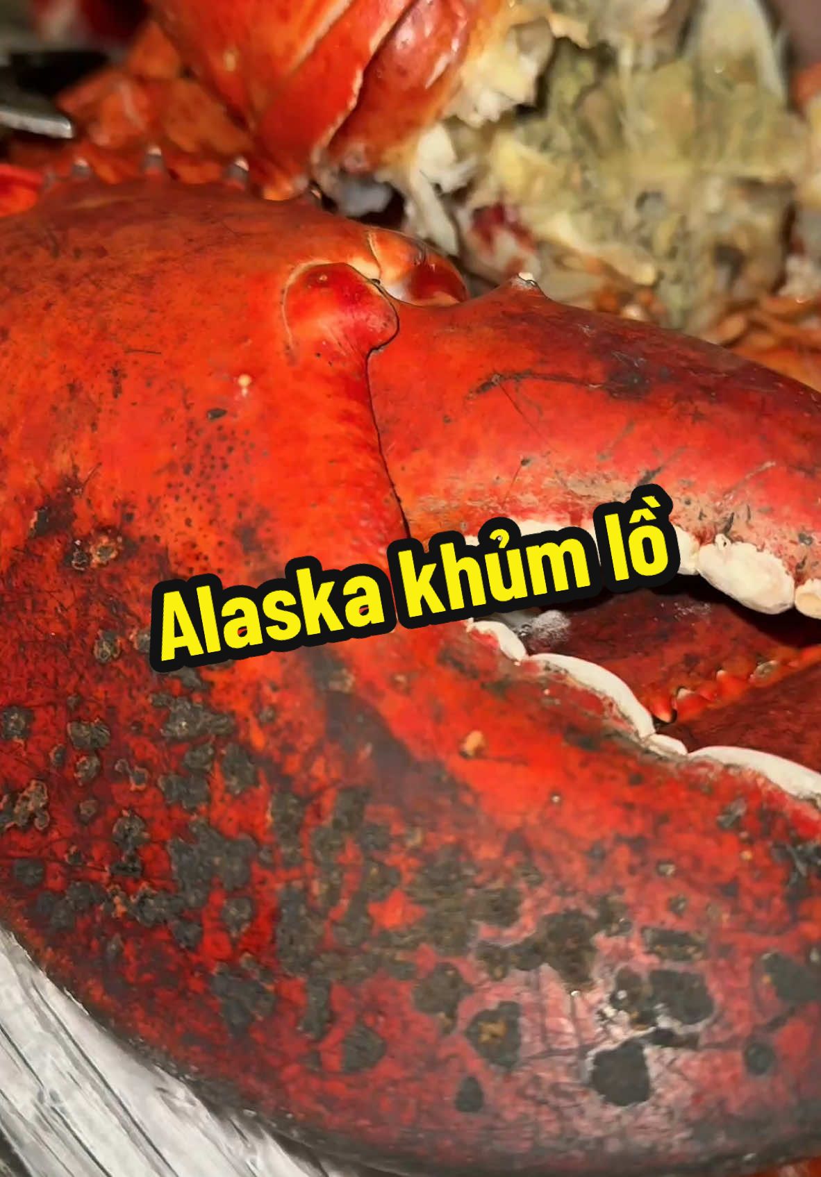 Mukbang tôm hùm Alaska khủm ở Đà Lạt 