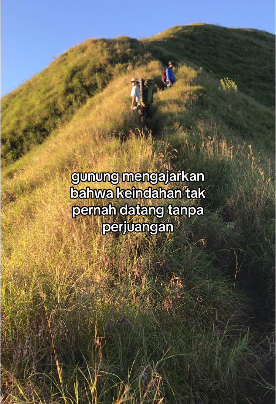 #pendakiindonesia #pendakigunung #lombokadventure #sembalun #fyp #foryou 