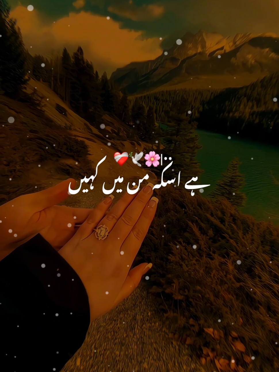 Tu Bta Thi Kaisi Ye Dewaangi |•• ❤️‍🩹🥀|•• #song #romanticsong #foryou #foryoupage #viral 