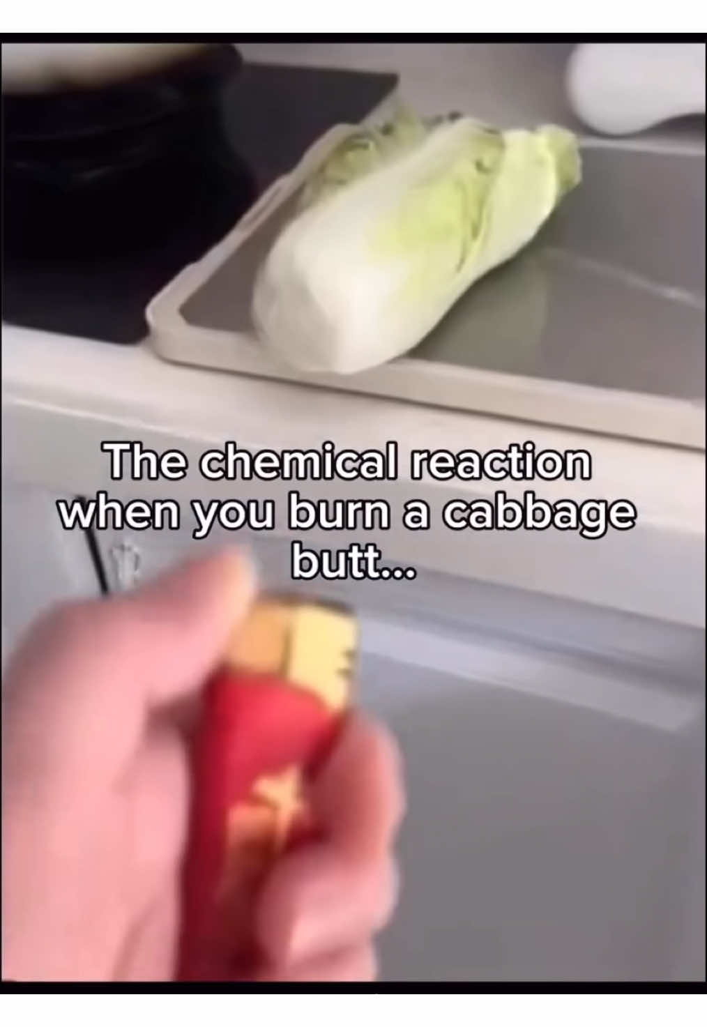 Song is Embarrassed by Don Toliver (feat. Travis Scott) #cabbage #cabbagememes #vegtablememes #fypシ 