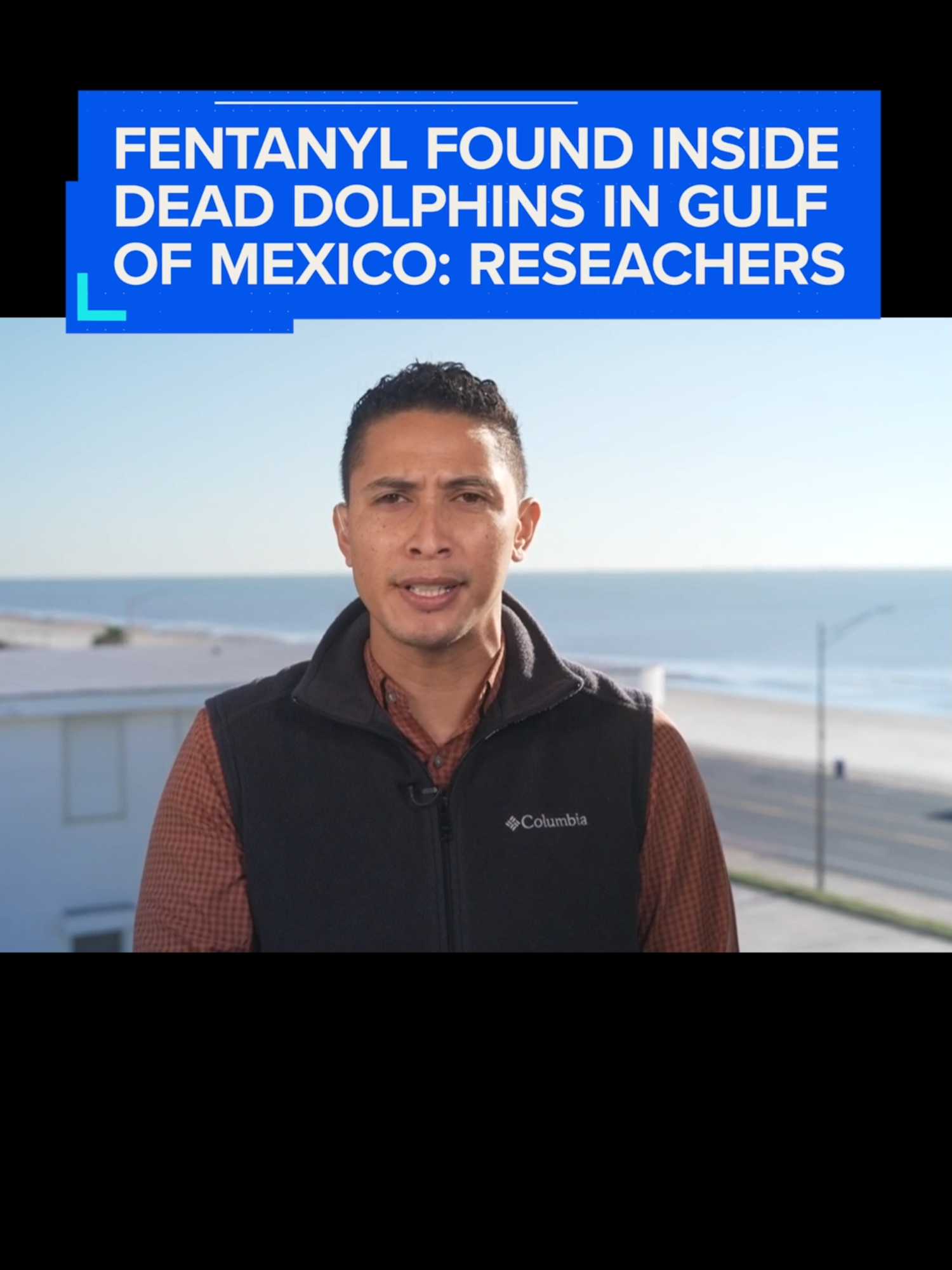 Traces of fentanyl were found inside bottlenose #dolphins who were found dead in the #GulfofMexico, raising concerns that the deadly drug may be affecting other #sealife.