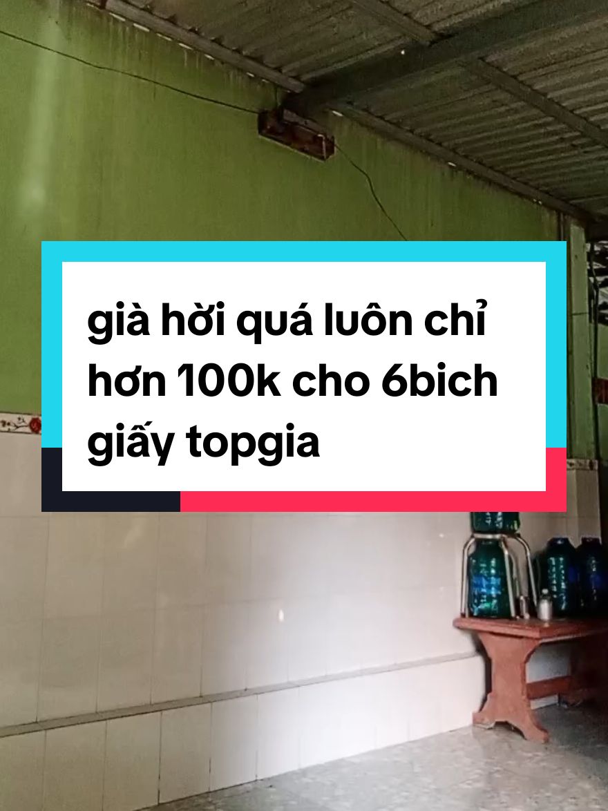 giấy topgia cao cấp #giahoi #combo6bichgiayandanang 