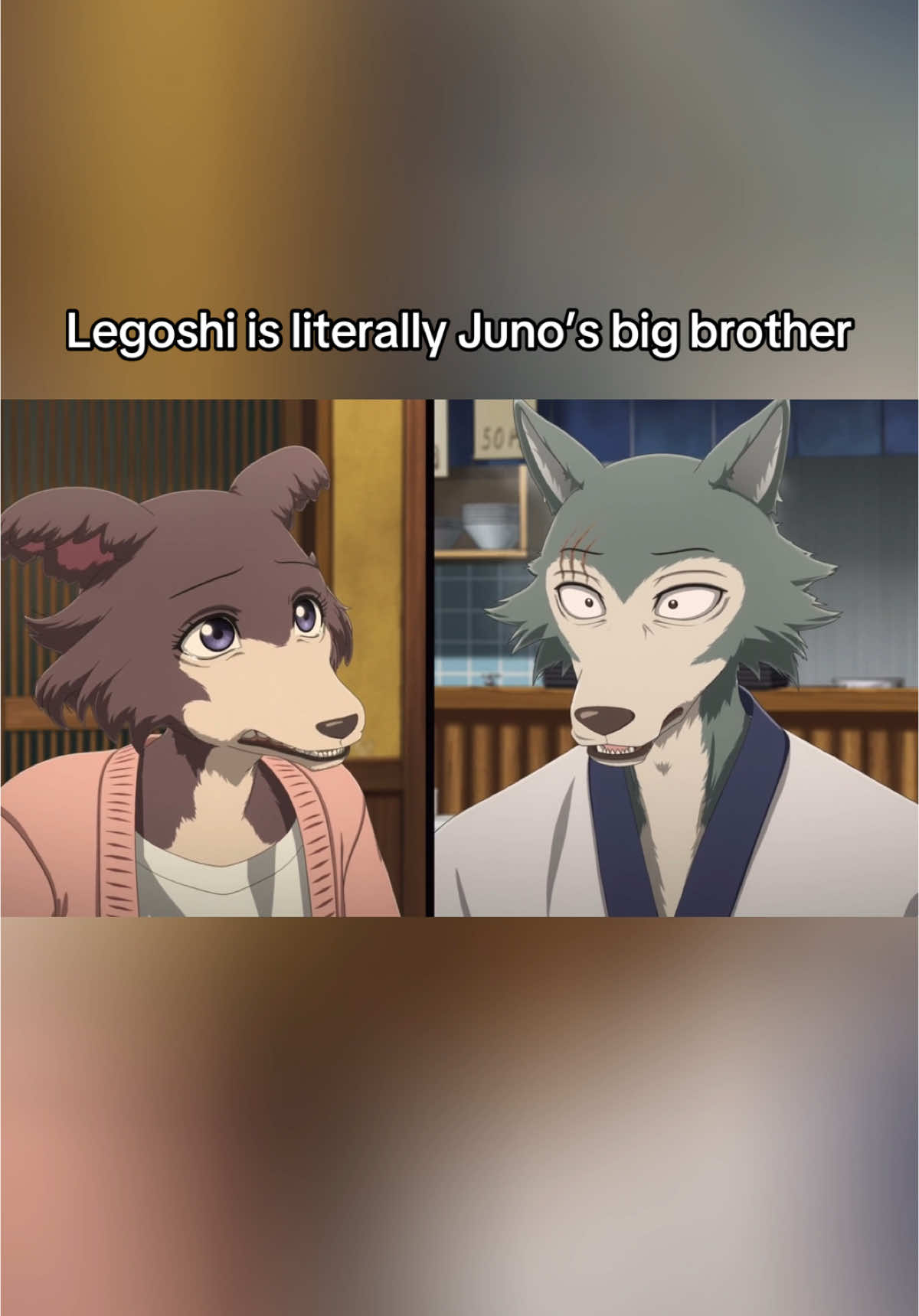 The way she goes straight to him when she’s upset 😭 . #juno#junobeastars#louis#louisbeastars#louisxjuni#junixlouis#beastars#beastarsanime#beastarslegoshi#legoshi#legoshibeastars#legoshixharu#haru#harubeastars#wolf#komododragon#animal#anime#dog#fyp#beastarsedit#beastarslegosi#legosi#animeedits#animefyp#animeboy#animerecommendations 