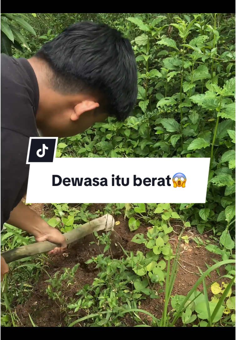 Ternyata aku salah 🥹 #masinis #keretaapiindonesia #karyawankai #karyawanbumn #fyp #xyzbca 