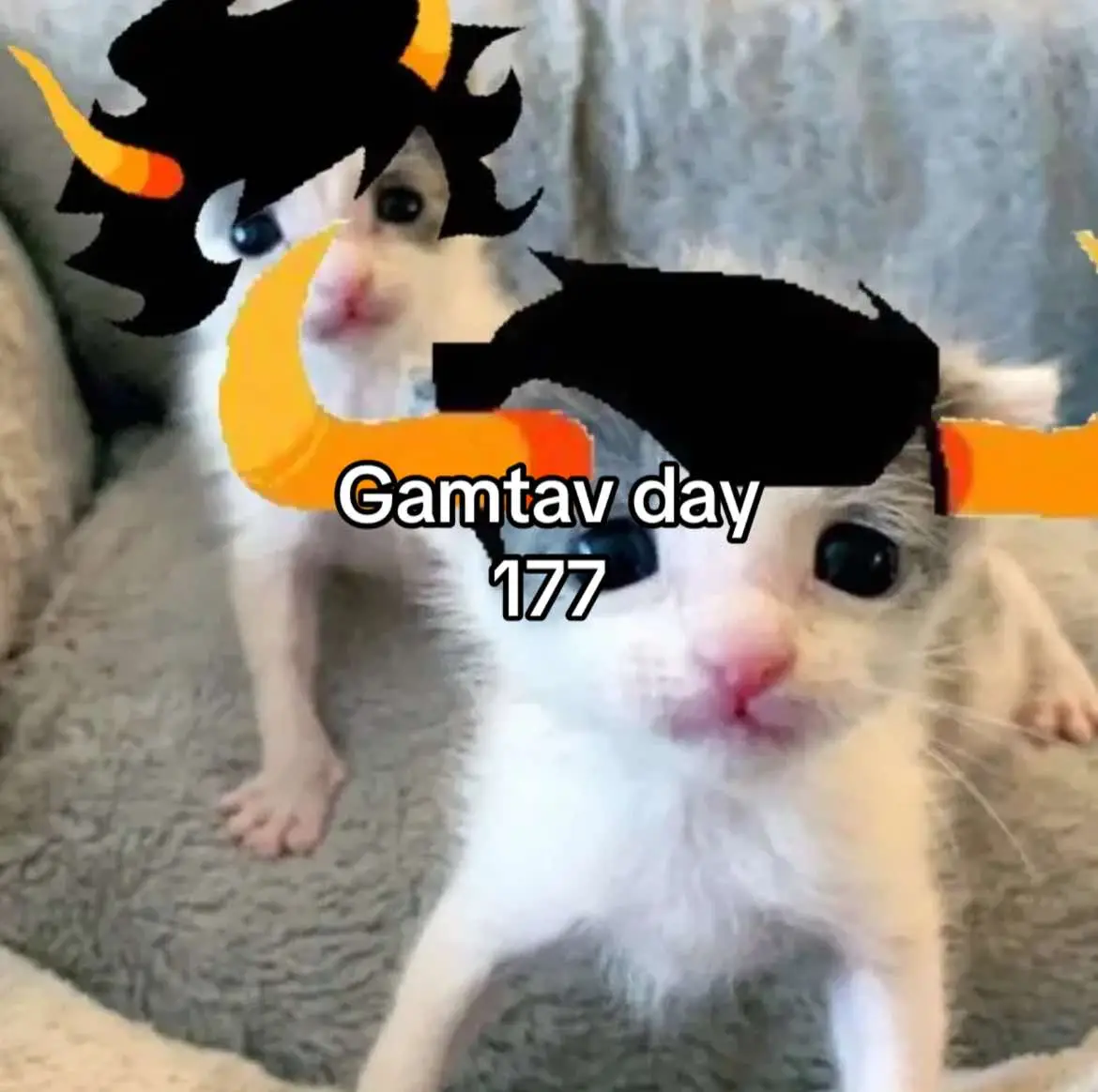 #gamtav #tavrosnitram #homestuck #gamzeemakara #gamzeemakara 