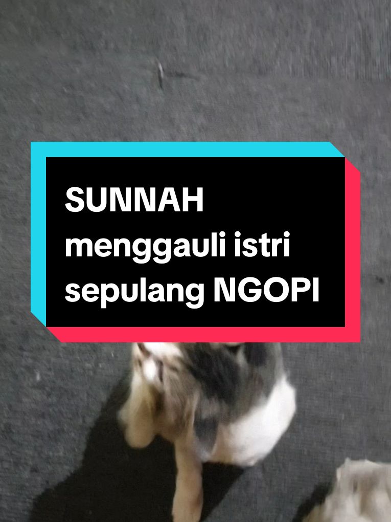 SUNNAH menggauli istri sepulang NGOPI ianatutholibin juz 3 halaman 388 (darulfikri)