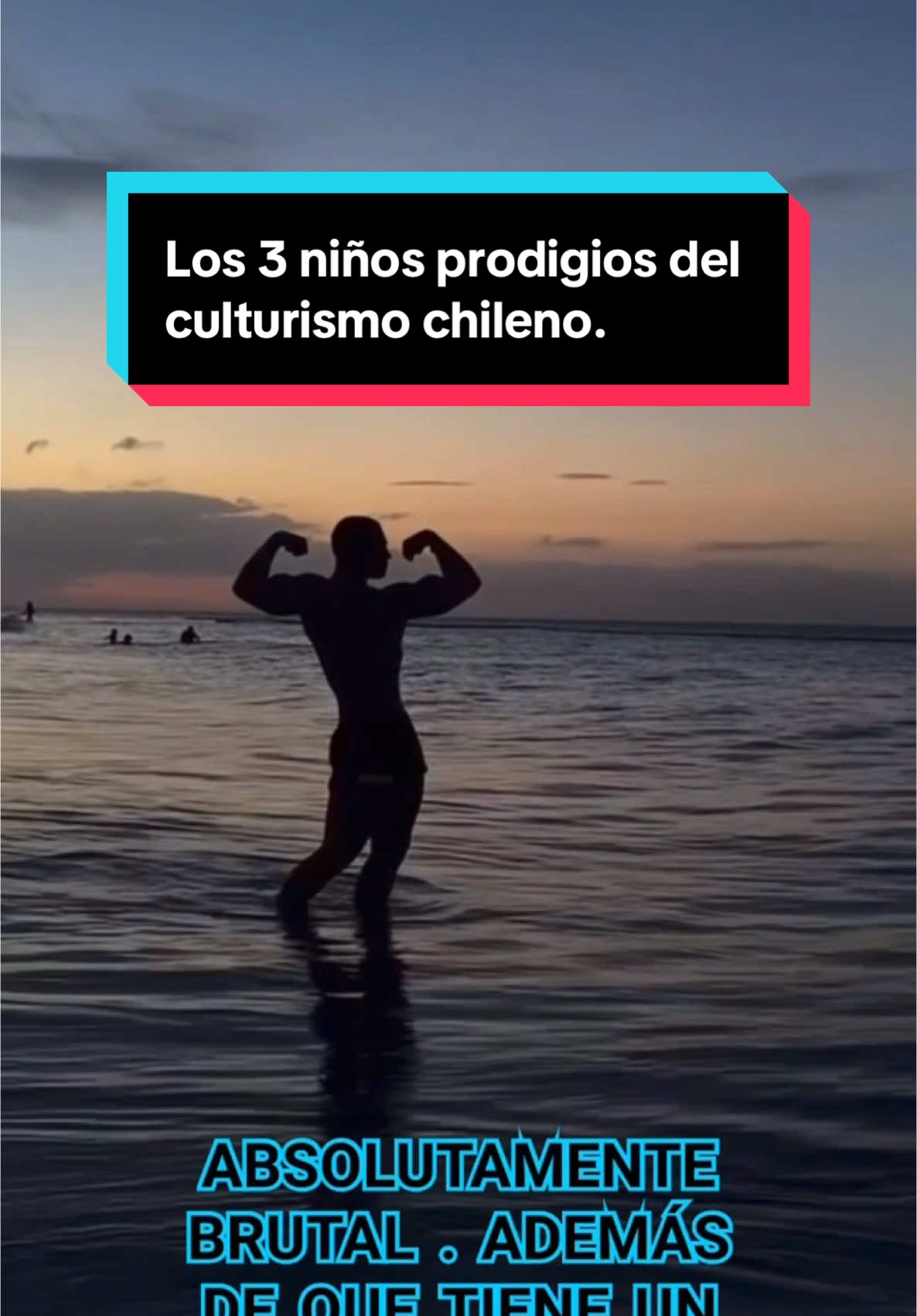 Es muy gratificante ver como el nivel sube en el país de a poco y estos 3 cabros más otros que quizá en un futuro sean prodigios, harán que lleguemos lejos. @Bruno Seefeldt @Vicente Bavestrello @Joaquín Fernández Diez  #bigdomi #culturismo #disciplina #niños #talento #dieta #entreno 