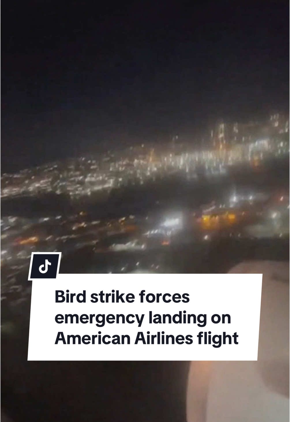 An American Airlines flight from LaGuardia Airport in New York City to Charlotte was forced to divert after a reported bird strike caused damage to the plane’s engine. #news #planes #airplane #airtravel #americanairlines 