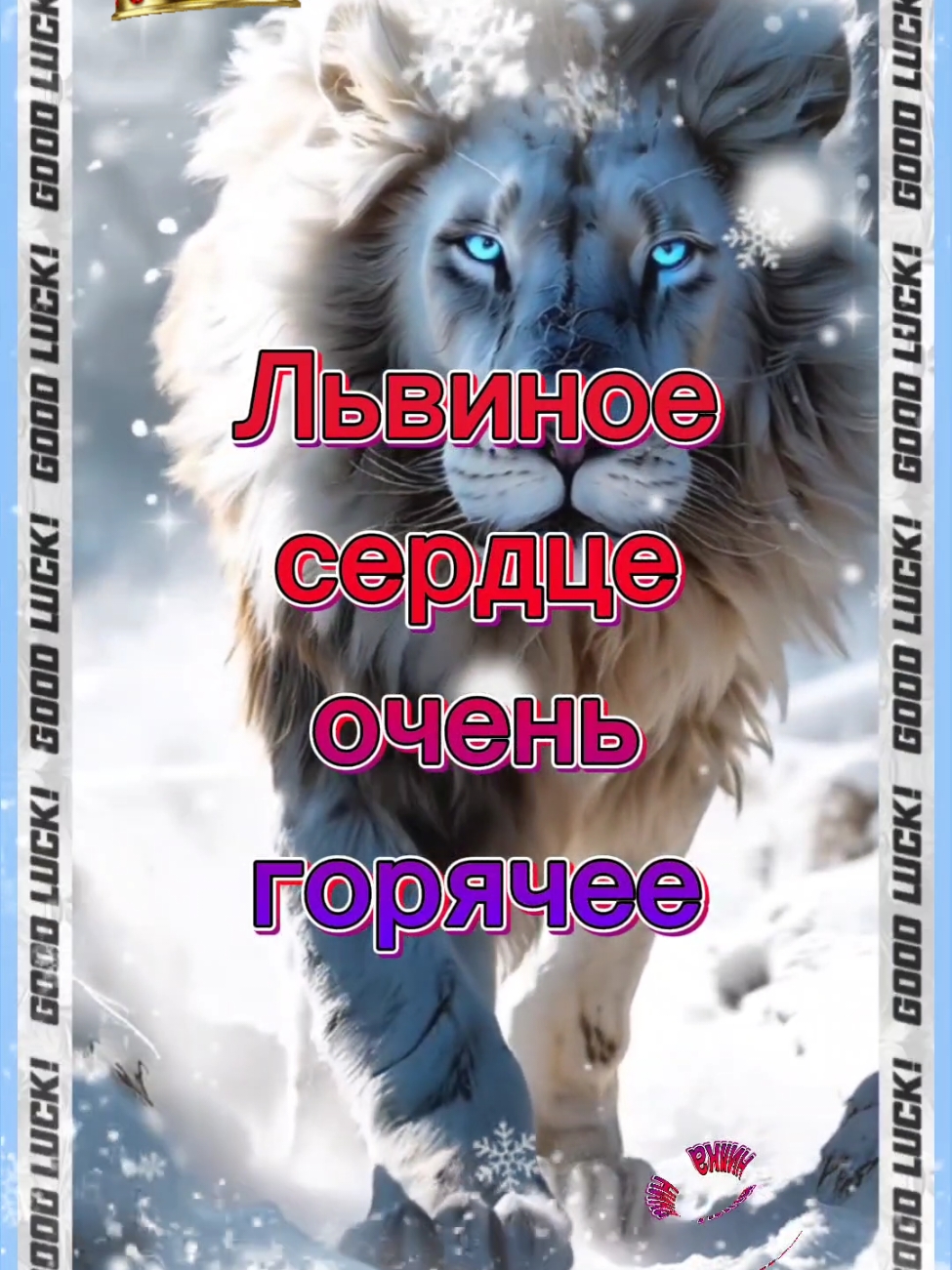 #огненнаяльвица🦁🔥 #Челлендж @🔅ROMEO-JOKER🔅 @Alex💙 