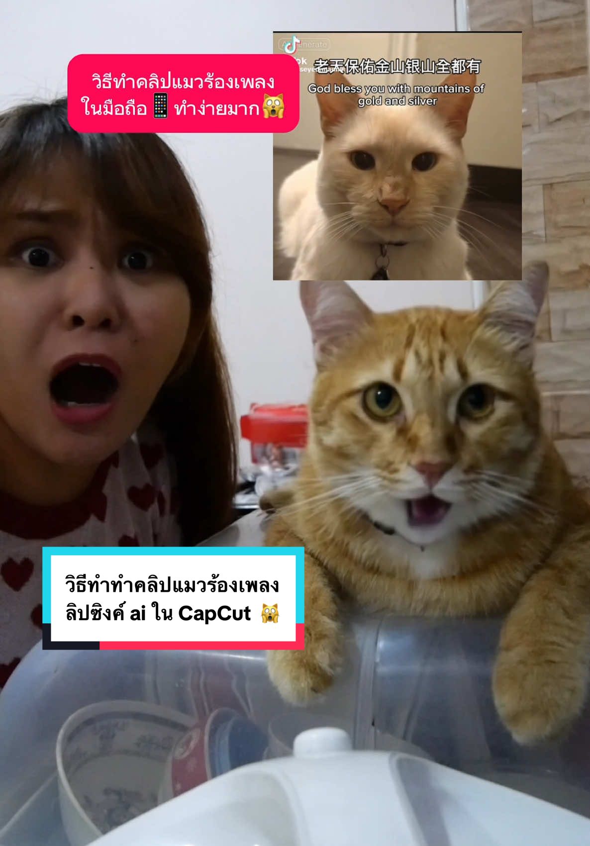 แมวที่บ้านของทุกคนพูดมั้ย? 🤣🙀คลิปหน้าอยากฟังเพลงอะไรคอมเม้นต์ไว้เลย 🤣🙀 ลิปซิงค์ ai ใน CapCut #อ#อยากรู้ต้องลองค#คนไทยเป็นคนตลกt#tiktokuniฮ#ฮาวทูtiktokร#รอบรู้ไอทีc#capcutthc#capcutl#lipsyncแ#แมวร้องเพลงท#ทาสแมวบ#บ้านฉันสนุกเว่อร์เ#เคล็ดลับสัตว์เลี้ยง