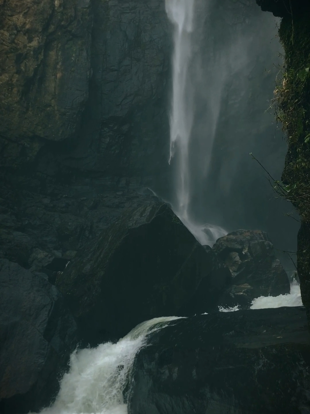 ඒ හැගීම... 🥺💚 #waterfall #srilanka #feel #naturebeauty #vibes #nature 