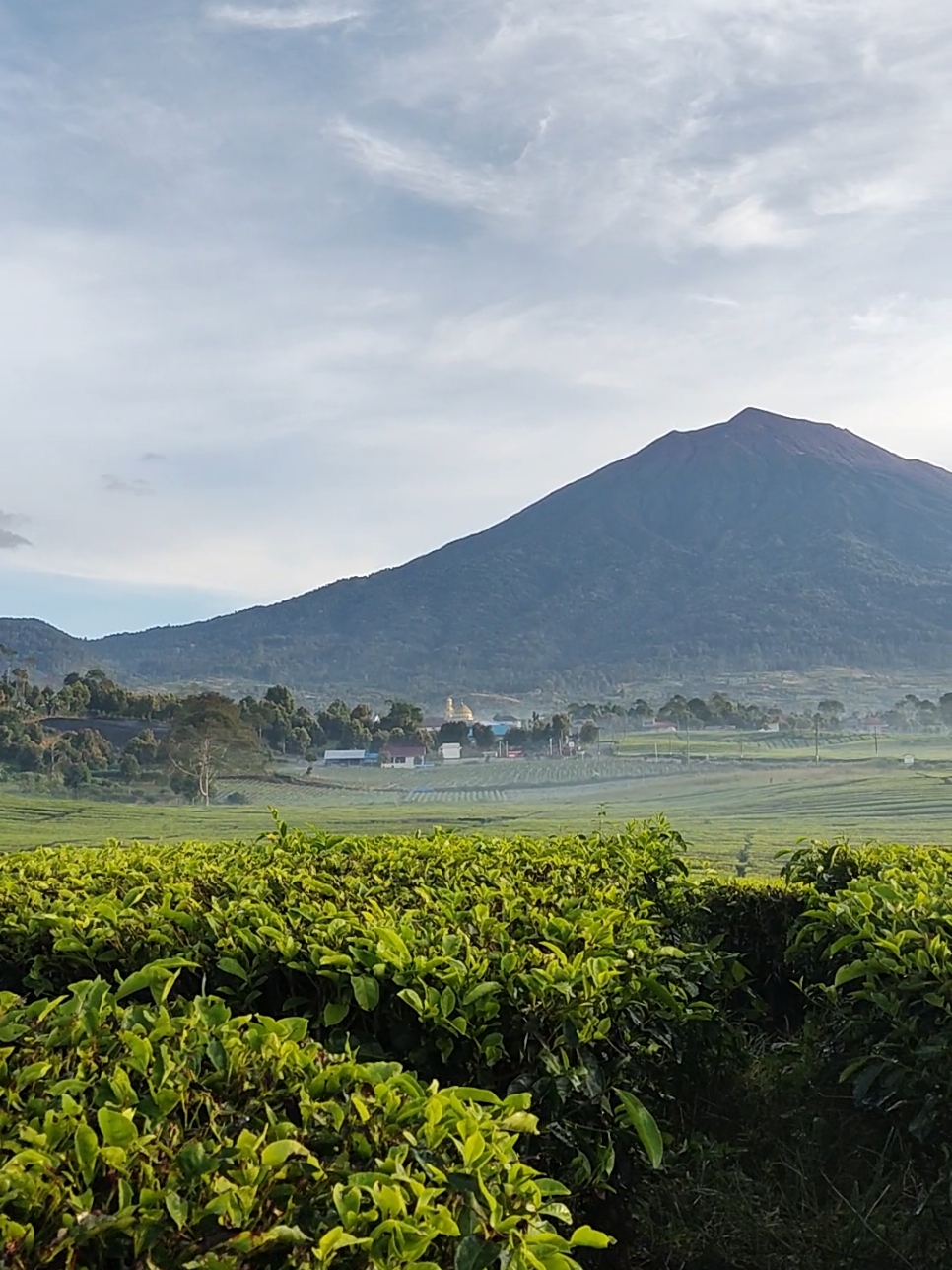 dingin mana kerinci sama si dia 🤭 #kerinci #jambi #gunungkerinci #kayuarokerinci #JelajahLiburan 