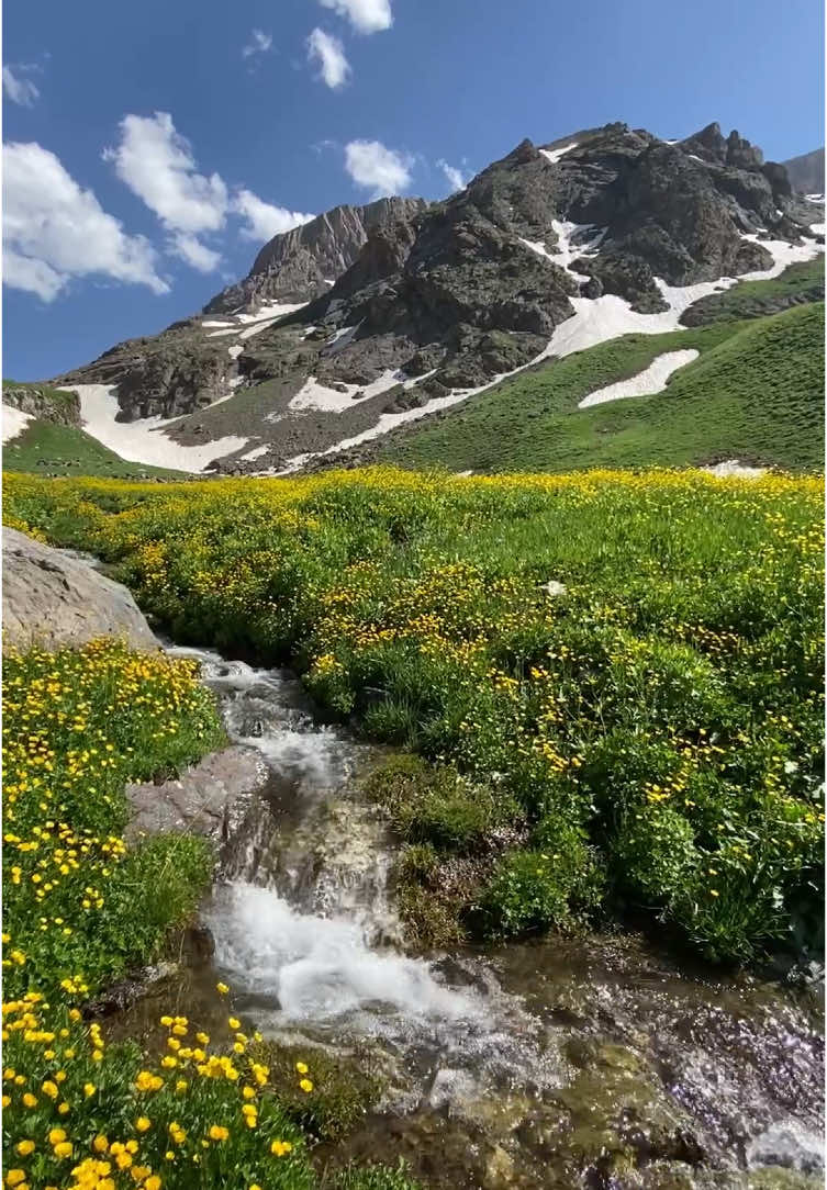 Kürtçe Şarkı Müzik 🏔️ Hakkari Doğa Manzaraları #HakkariTV #kurdish #cilodağları #nature #photography #tv #kürtçeşarkılar #kürtçemüzik #yayla #zozan #cennet #fonmüzik #2025  #kürtçe #kurdish #kurdish #nature #hakkari #cilo #kurdistan #kurds #koçer #music #mountain #mountains #photography 