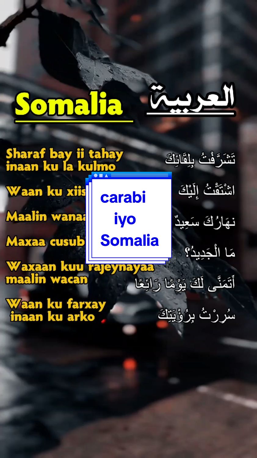 carabi iyo Somalia wax kabaro luuqadaada #islamic_video #somalitiktok #fypシ゚viral🖤tiktok #viraltiktok #suriya #fyp 