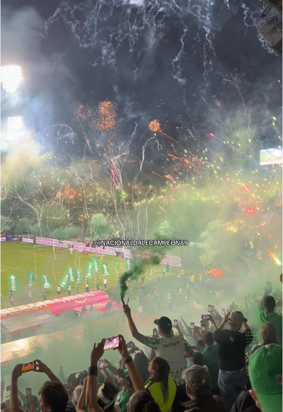 🎶LA HINCHADA QUE QUIERE OTRA COPA LA DE MAS AGUANTE! 🎺🥁🇳🇬 @Atlético Nacional 💚