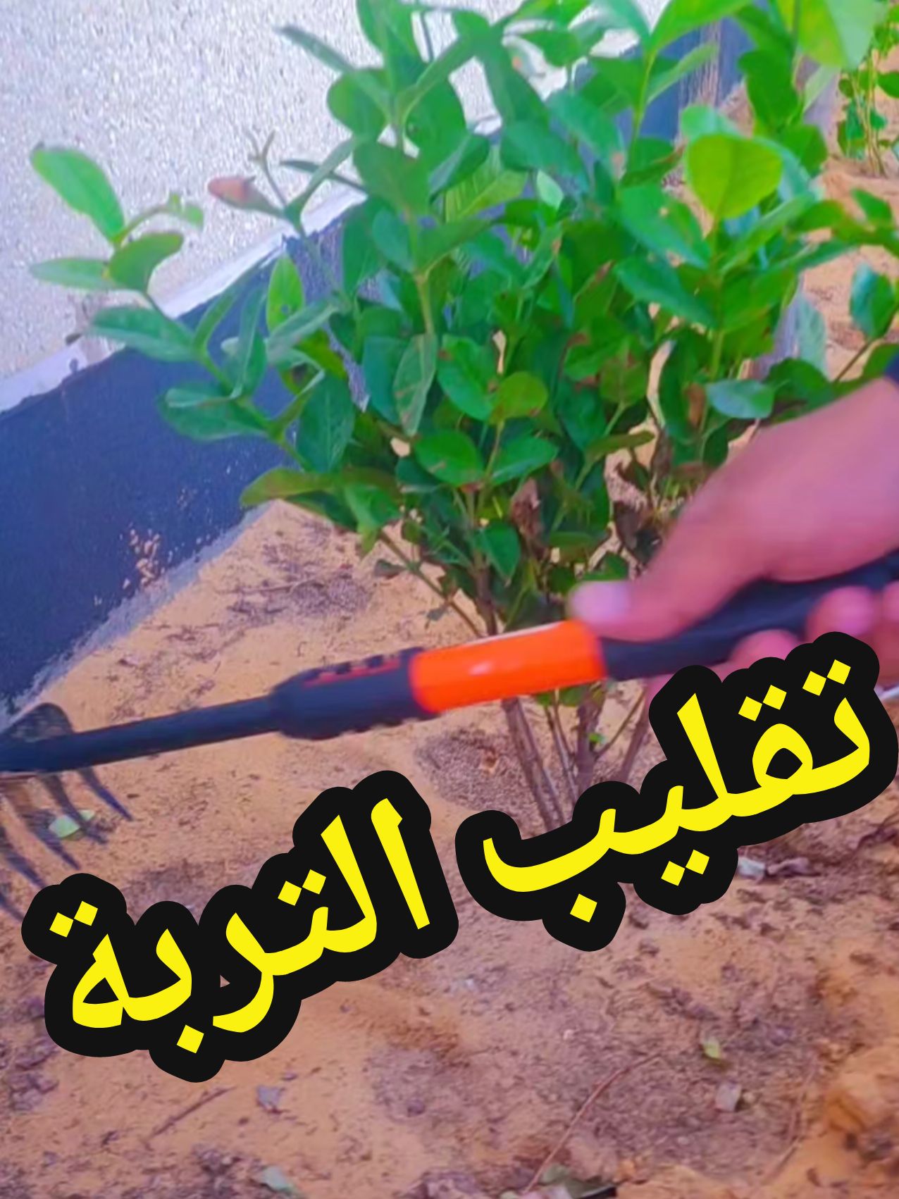 تقليب التربه مفيد  جدا #الخربشة #الحديقة_المنزلية #زراعة_النباتات #زراعة #هاوي_زراعة 