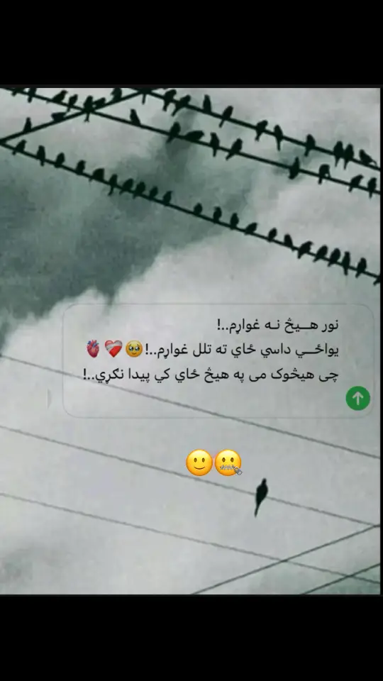 #نيمګړۍ🍂هيلۍ💔 #foryou #poshto_poetry 