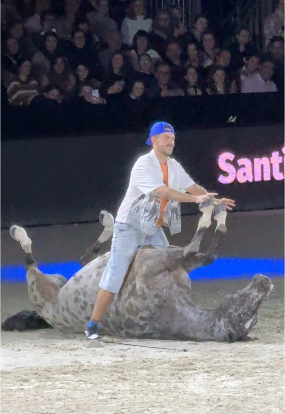 Spectacle juste incroyable au @Salonduchevaldeparis 🥹✨ #cheval #salonsucheval #horse #equestrian #equestre  @santi serra camps 