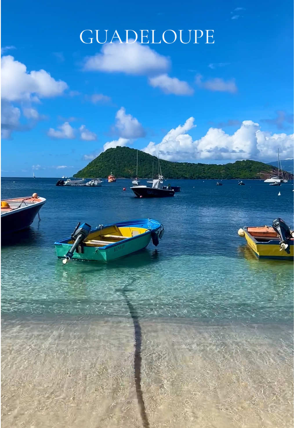 un voyage vreumant 🐢🏝️🌞🐟🩷🤌🏼 #guadeloupe #antilles #gwada #snorkeling #travel #petiteterre #malendure #tortoise #caraibes #971 #voyage #paysage 