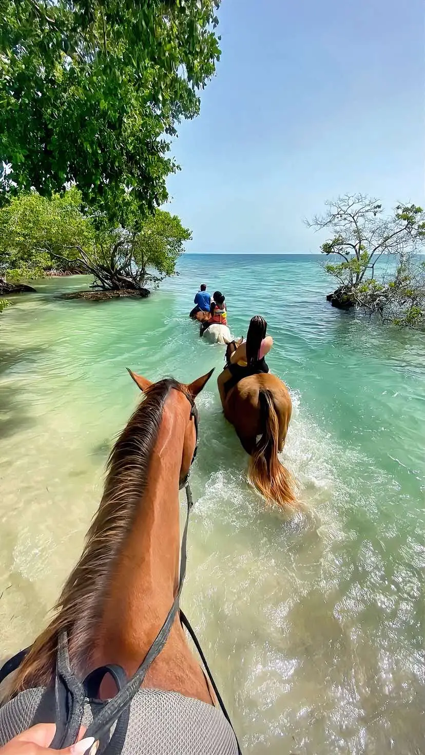 #mauritius #beach #holiday #travel #viralditiktok #fyp #highquality 