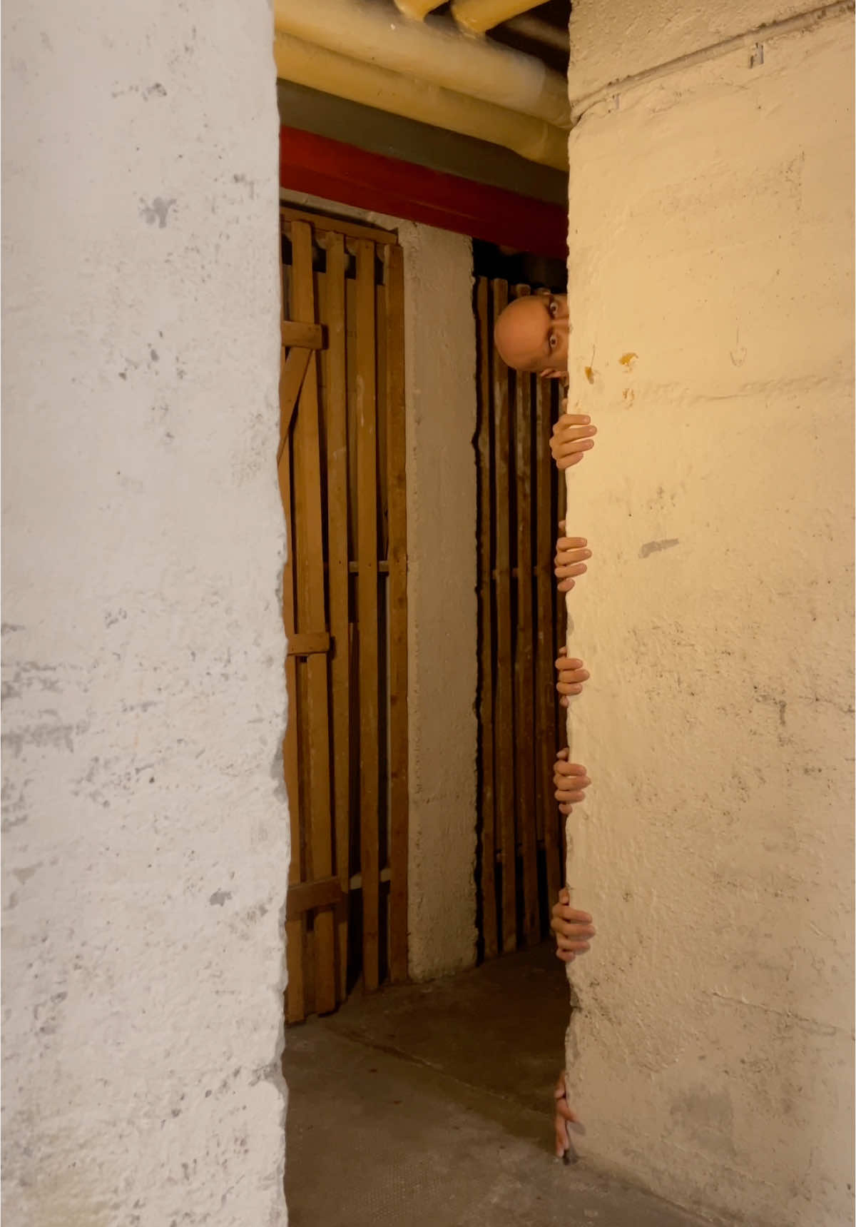 A little less scary…  #basement #encounter #wtf #creepytok #horrortok #horrormovie #mystery #bald #cancer 