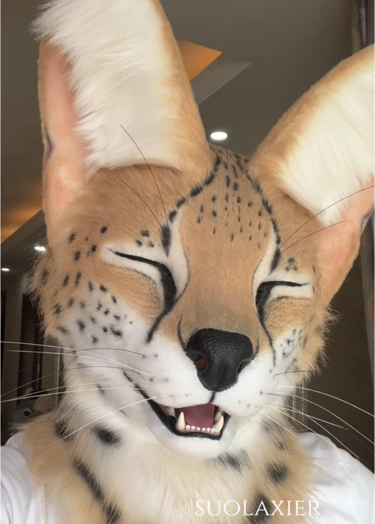 😉#cat #fursuit #serval #servalcat #fursuitmaker #fursuiter #furrytiktok #DIY  Owner Twi/X @ waldorfrinn