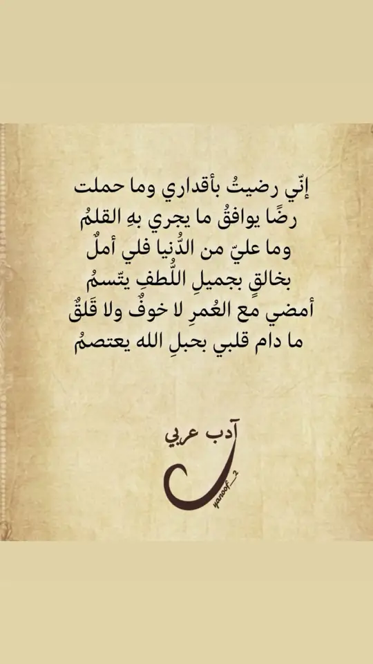 #أبيات_من_الشعر #أدب_عربي #تيك_توك 