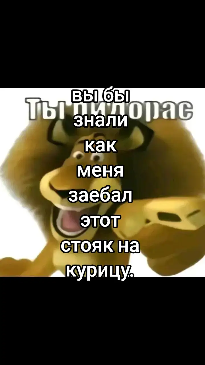 Мне уже физически плохо, он встает встает, я уже подставку купил для телефона зачем мне он