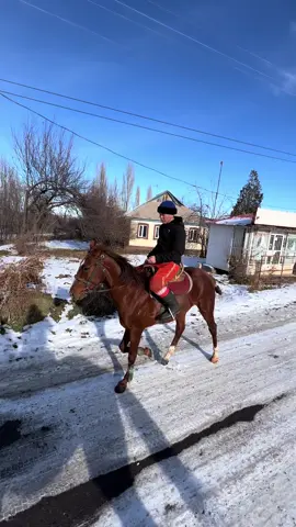 #хочуврек #rekomendasifilm         🐎🤍