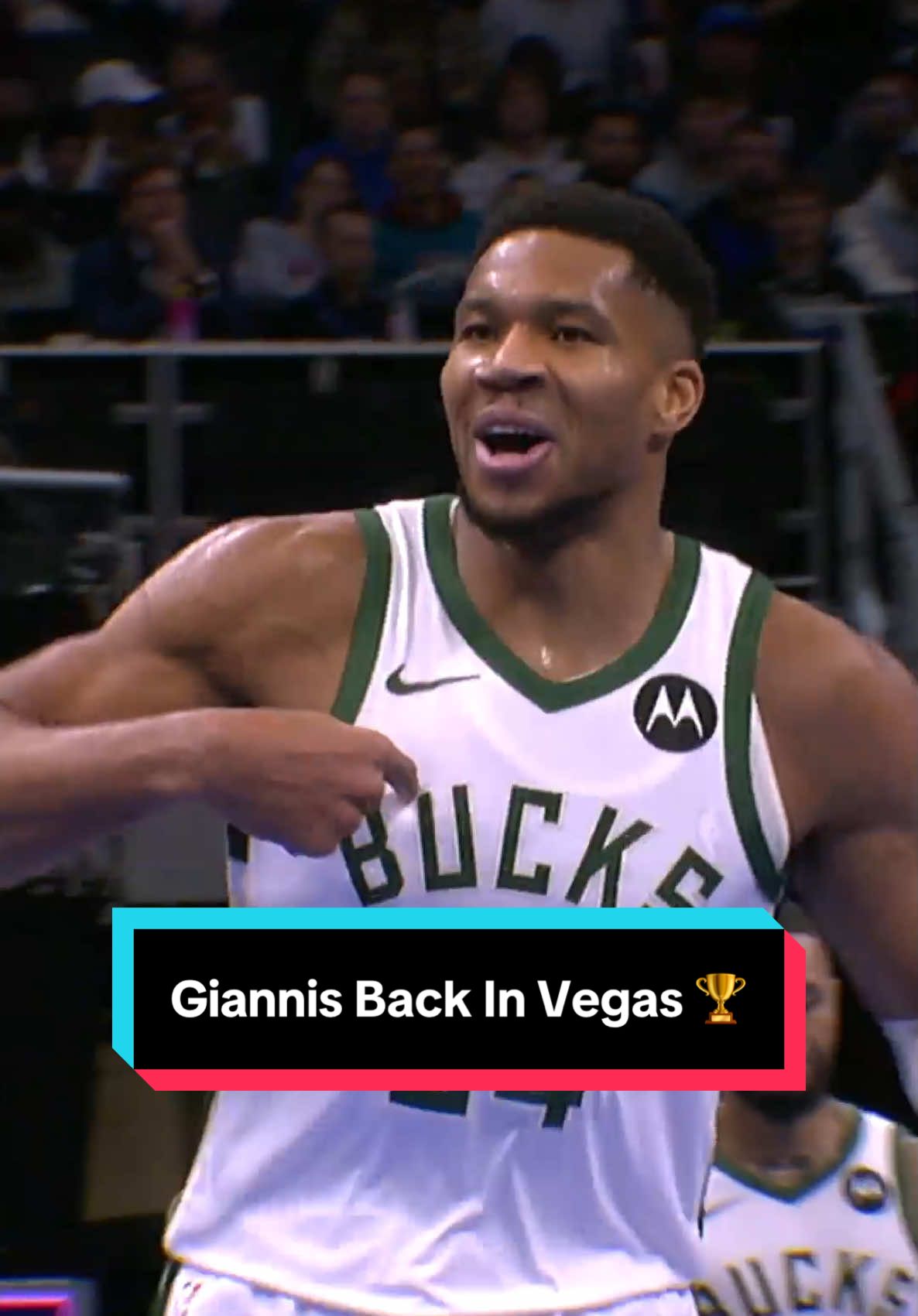 Giannis and the Bucks are back in Vegas with their eyes on the #EmiratesNBACup 🏆 #NBA #basketball #Giannis 