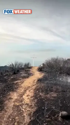 ✝️ 'HE SPARED IT': Perched atop a Malibu hill, a white cross has become an enduring symbol of hope for Pepperdine University. The California landmark, once destroyed by the Woolsey Fire in 2018 and later rebuilt, has emerged unscathed from this week's Franklin Fire. #malibu #california #franklinfire #pepperdine @pepperdineuniversity @officialsigs Read more at FOXWeather.com