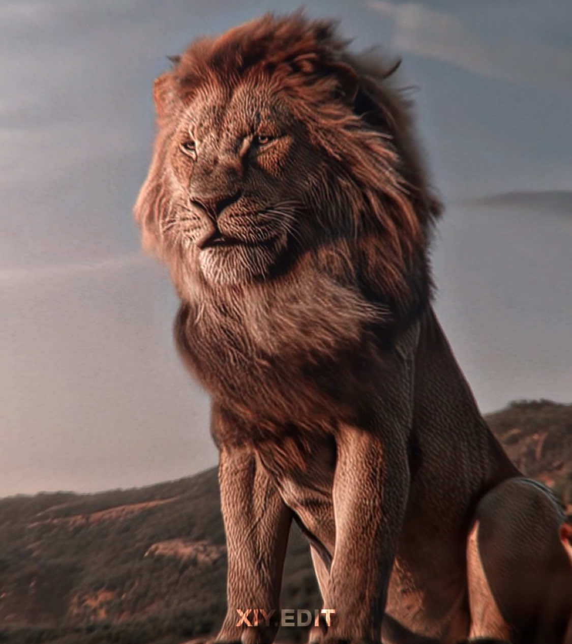 Father is always so great#movie #edit #fyp #thelionking #king #lion 