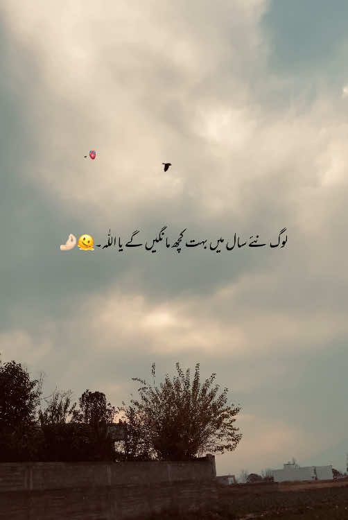 Ameen🥹🤌🏻~#foryoupage #foryou #viralvideo #growmyaccount #aestheticvideos #aesthetic #urdupoetry #poetry #statusvideo #hehe_daniii #fyp 