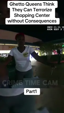 Ghetto Queens Think They Can Terrorize Shopping Center without Consequences#police #copsoftiktok #cops #crime #bodycam #truecrime #crimetiktok #casa #fyp #vira #tiktokkindia #case 