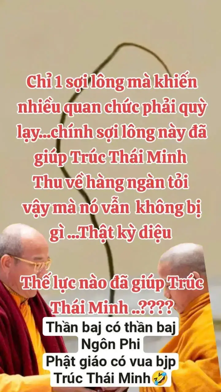 Thần baj có thần baj Ngôn Phi Phật giáo có vua bjp Trúc Thái Minh🤣