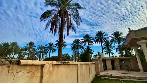 جمال بيتنا من الخارج #CapCut #غيوم #اغاني_مسرعه💥 #تصويري📸 #اصاله #اغاني 