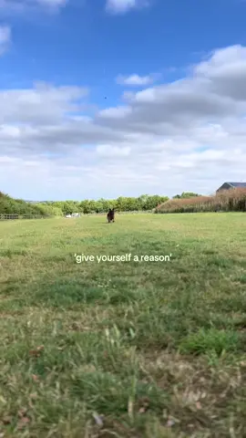 the best reason #noahkahan #giveyourselfareason #callyourmom #bestfriend #germanshepherd 