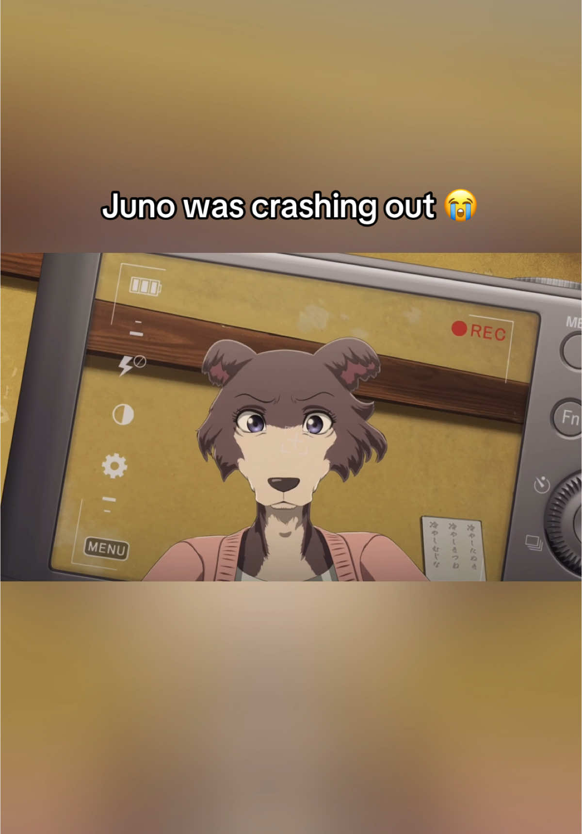 Louis stabbed her by saying he won’t be with her 😭 . #juno#junobeastars#louis#louisbeastars#louisxjuni#junixlouis#beastars#beastarsanime#beastarslegoshi#legoshi#legoshibeastars#legoshixharu#haru#harubeastars#wolf#komododragon#animal#anime#dog#fyp#beastarsedit#beastarslegosi#legosi#animeedits#animefyp#animeboy#animerecommendations 