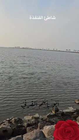 شاطئ القنفذة #