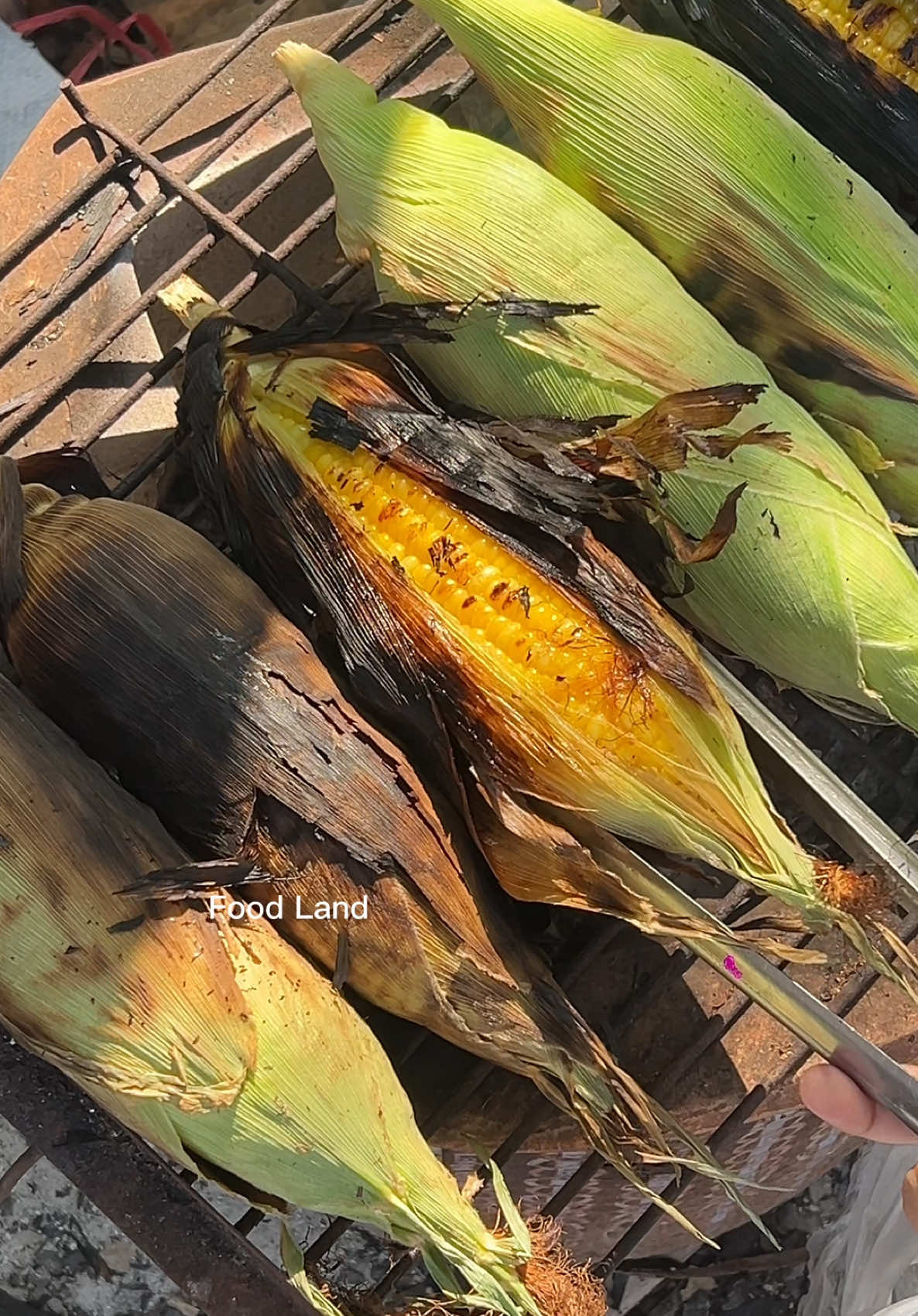 Fragrant and sweet: How to make buttered grilled corn  🌽🧈 . Shop name:  Buttered Grilled Corn (ข้าวโพดย่างเนย)  📍Location: Lakha Police station, Damnoen Saduak, Ratchaburi, Thailand  #foodland #asmr #fruit 