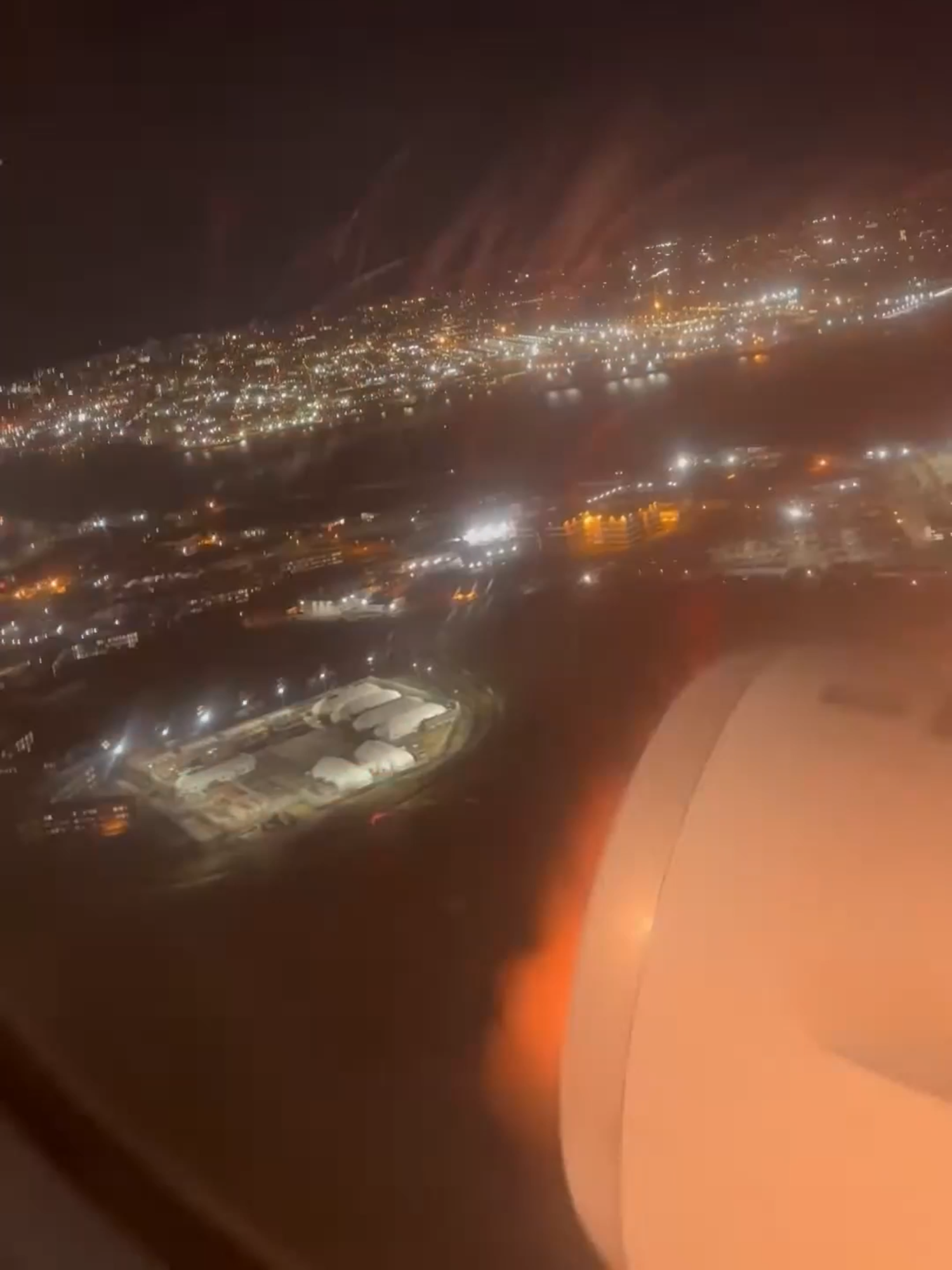 Dramatic video shows the moment a bird was caught in the engine of an American Airlines flight departing from New York City and forced an emergency landing. 